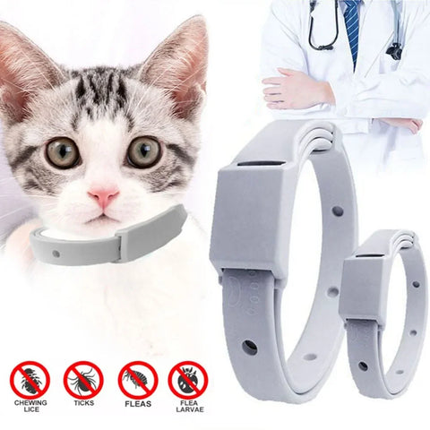 Anti Flea Tick Collar For Cat Small Dog Antiparasitic 8Month Protection Adjustable Puppy Kitten Collar Breakaway Pet Accessories